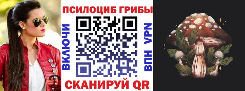закладки  сайты даркнета как зайти  Галлюциногенные грибы ЛСД  Сретенск 
